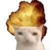 Sticker 🤬 #CATS ! @synthvv :: @fStikBot