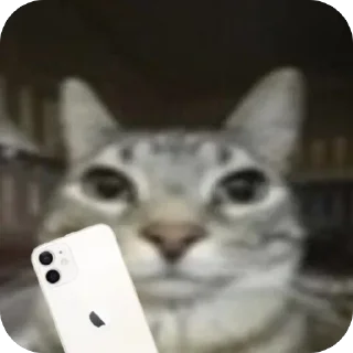 Telegram sticker 🫥 @VLAGA_STICK 👈 Там ВСЕ стикеры❤️