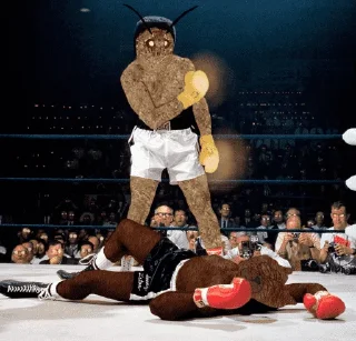 Video sticker 🥊 MOTHMEMECOIN