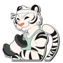 Video sticker 💪 White Tiger