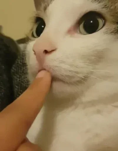 Telegram sticker 🤫 Yui🫧's W sticker Pack