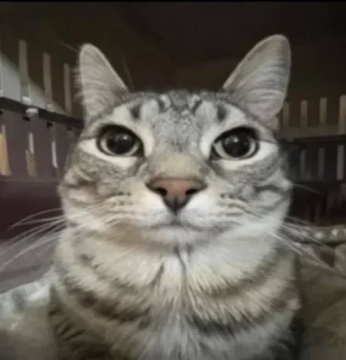 Telegram sticker 🖼 Yui🫧's W sticker Pack