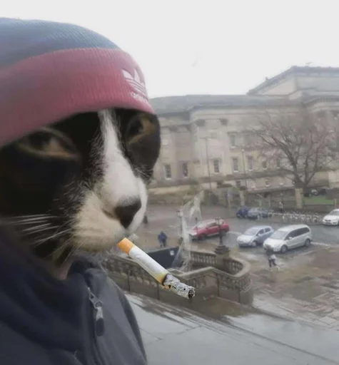 Sticker 🤔 Yui🫧's W sticker Pack