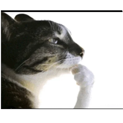 Telegram sticker 👍 Yui🫧's W sticker Pack