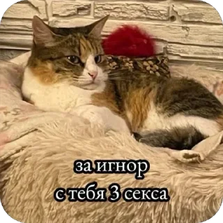 Телеграм стикер 😏 Больше стиков тут: @stikery4