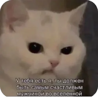 Телеграм стикер 👍 Больше стиков тут: @stikery4