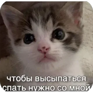 Video sticker 😴 Больше стиков тут: @stikery4