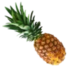 Video sticker 🍍 Кетчуп