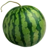 Sticker 🍉 Кетчуп
