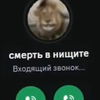 Video sticker 🎈 lin gif | @zeeeeeveeeeeeee