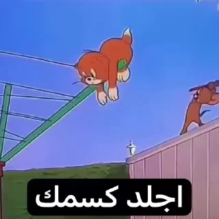 Video sticker 👅 3nbri