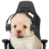 Sticker 😎 DOGGIES @HUBXE / @MIMXE
