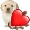 Sticker 😘 DOGGIES @HUBXE / @MIMXE