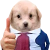 Sticker 😎 DOGGIES @HUBXE / @MIMXE