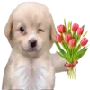 Sticker 😘 DOGGIES @HUBXE / @MIMXE