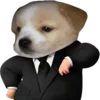 Video sticker 🤑 DOGGIES @HUBXE / @...