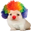 Sticker 🤡 DOGGIES @HUBXE / @MIMXE