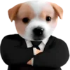 Video sticker 😎 DOGGIES @HUBXE / @...