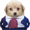 Video sticker 😎 DOGGIES @HUBXE / @...