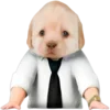 Video sticker 😎 DOGGIES @HUBXE / @...