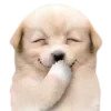 Sticker 😀 DOGGIES @HUBXE / @MIMXE