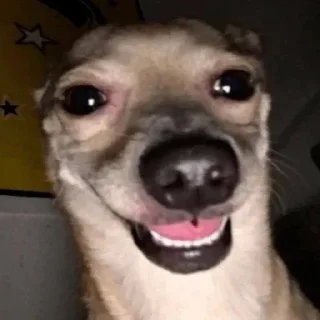 Telegram stiker 👍 @Good3bood & @Good7md