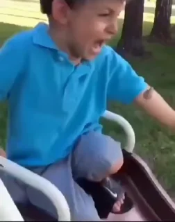 Video sticker 🦜 Me deixa planta bananeira