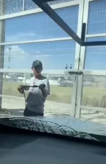 Video sticker 🦜 Me deixa planta bananeira