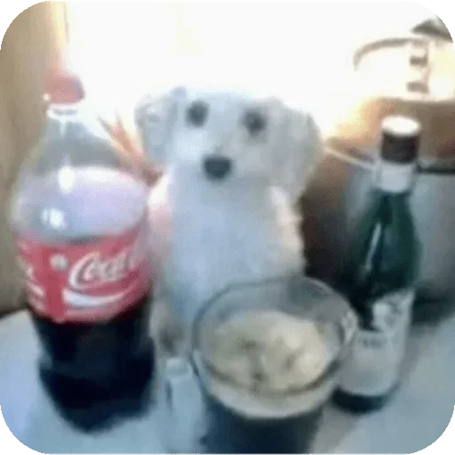 Telegram sticker 😐 автор @Tazik171