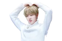 Video sticker 😘 BTS