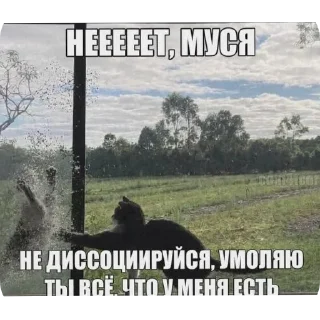 Telegram sticker 🖼 Муся