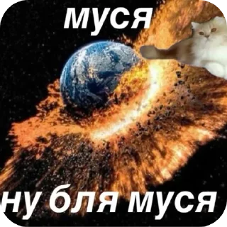Video sticker ❤ Муся