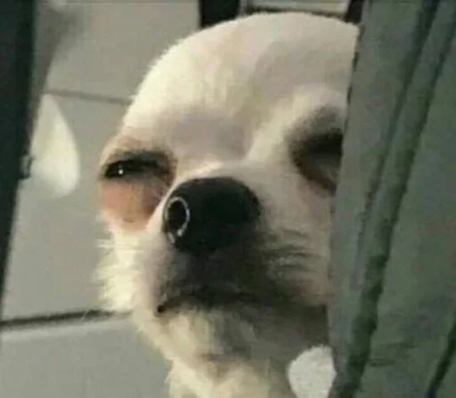 Telegram sticker 😑 SWALF Stickers // @swalfoffical_bot