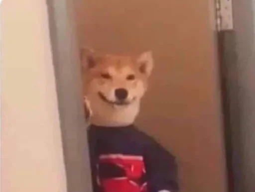 Telegram sticker 😄 SWALF Stickers // @swalfoffical_bot