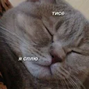Telegram sticker 😴 Trashbox