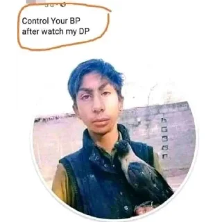 Video sticker 🖼 Mureeed's pack