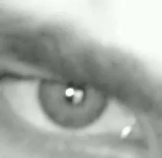 Video sticker 👁 стики @XECY0