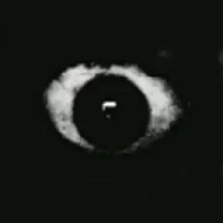 Sticker ☠️ стики @XECY0