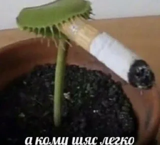 Video sticker 😭 Больше стиков тут: @stikery4