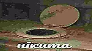 Video sticker 🤡 Больше стиков тут: @stikery4