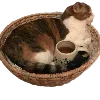 Sticker 🐈 Aesthetic @sacred_cndls_love