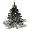 Sticker 🌲 Aesthetic @sacred_cndls_love
