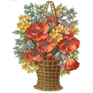 Telegram sticker 💐 Guldasta Flowers @PunjabiSticker
