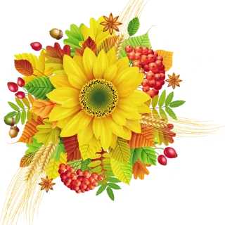 Telegram sticker 💐 Guldasta Flowers @PunjabiSticker