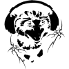 Video sticker 🤩 рандом фо�...