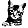 Video sticker 🤩 рандом фо�...