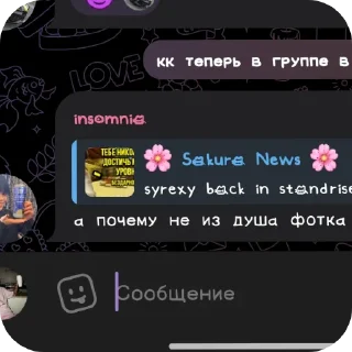 Telegram sticker 👍 райз и лео