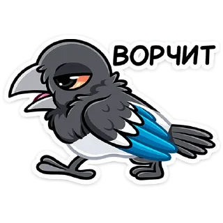 Video sticker 👴 Шкет от @TgSticker