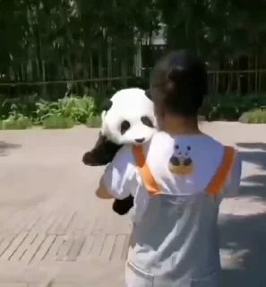 Video sticker 👋 Erratic Panda 🐼 :: @fStikBot