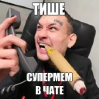 Telegram sticker 🌟 Укрытие Аквариума